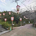 鳥取打吹公園 (6).jpg