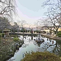 鳥取打吹公園 (7).jpg