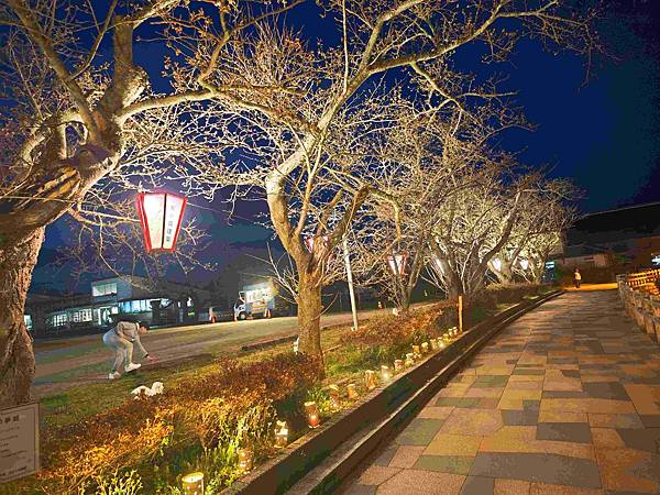 鳥取打吹公園 (12).jpg