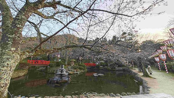 鳥取打吹公園 (9).jpg