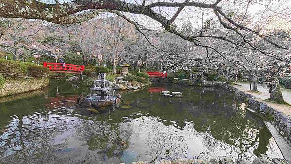 鳥取打吹公園 (8).jpg