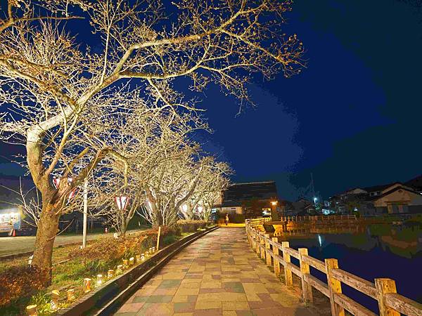 鳥取打吹公園 (13).jpg