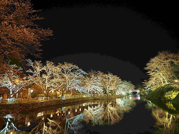 鳥取打吹公園 (15).jpg