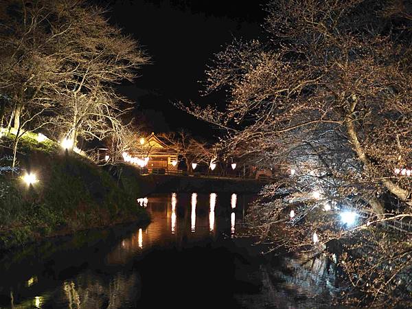 鳥取打吹公園 (17).jpg