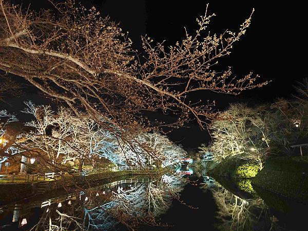 鳥取打吹公園 (21).jpg