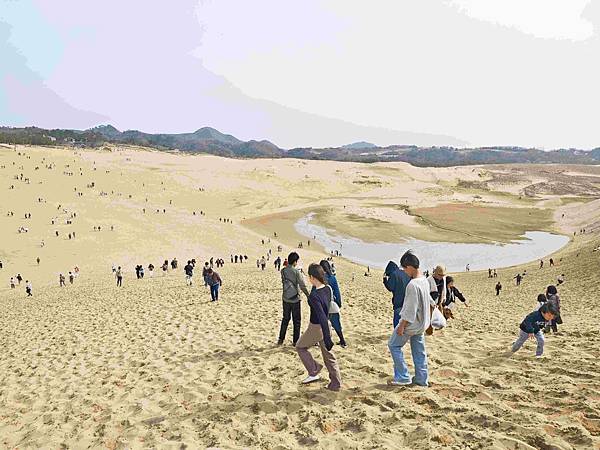 鳥取砂丘 (8).jpg