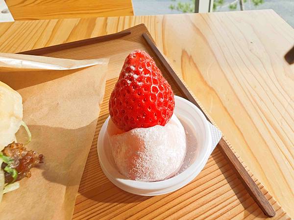 鳥取砂丘 (14).jpg