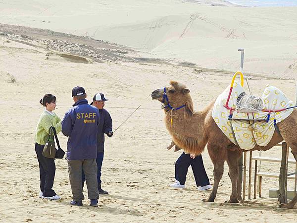 鳥取砂丘 (28).jpg