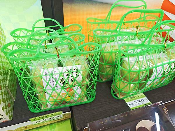 鳥取砂丘 (40).jpg