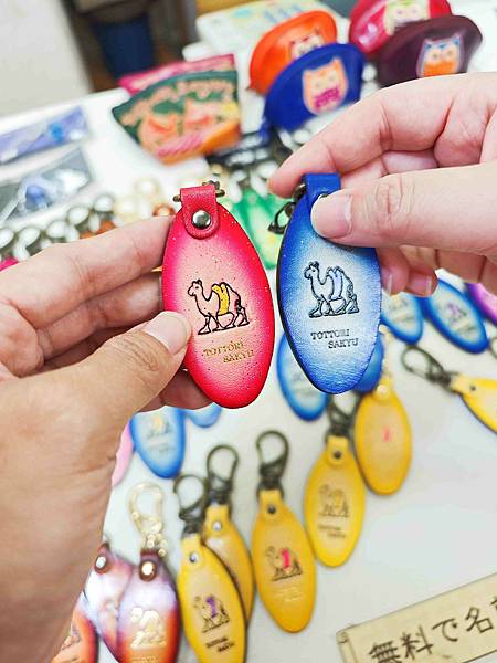 鳥取砂丘 (48).jpg