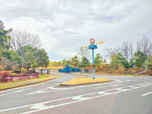 鳥取花回廊 (12).jpg