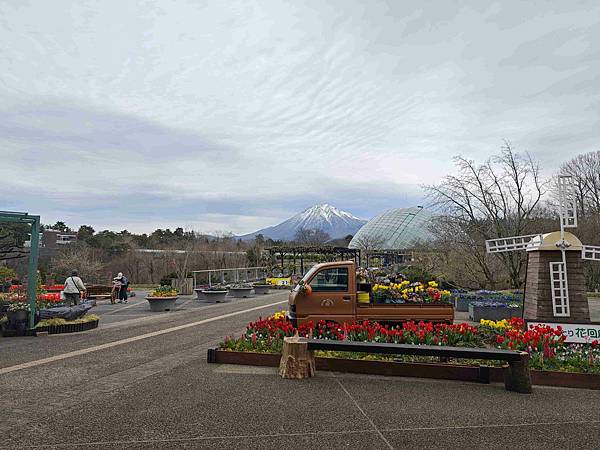 鳥取花回廊 (15).jpg