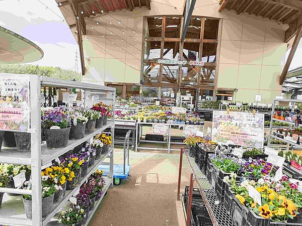 鳥取花回廊 (24).jpg