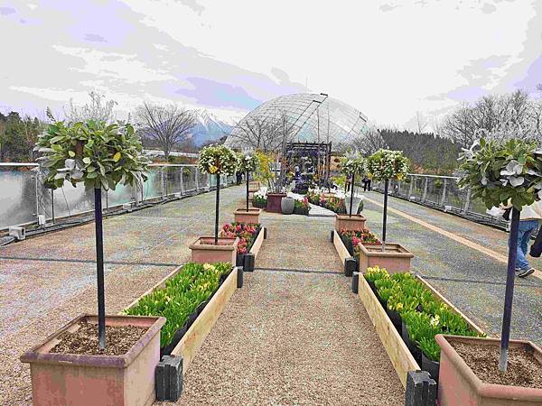 鳥取花回廊 (25).jpg