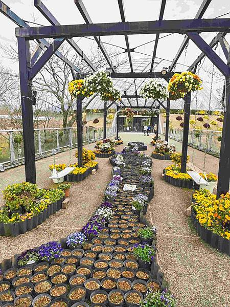 鳥取花回廊 (26).jpg