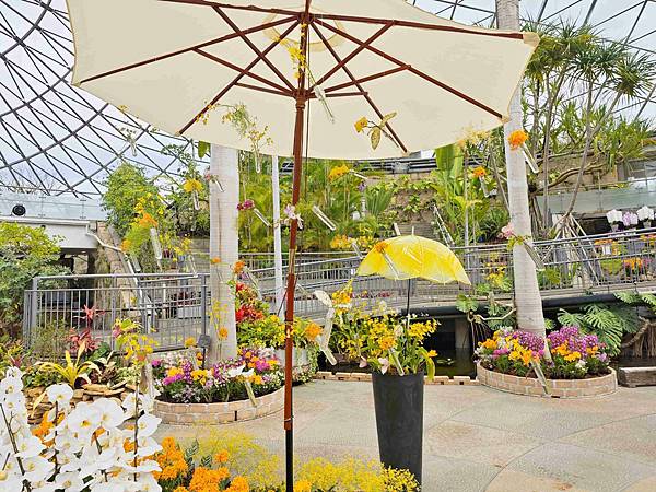 鳥取花回廊 (32).jpg