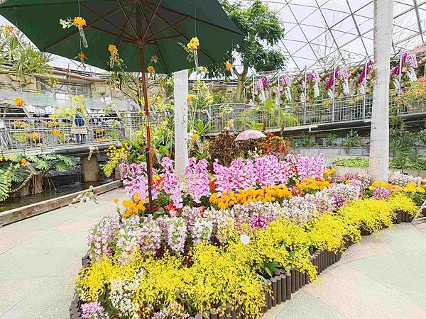 鳥取花回廊 (33).jpg