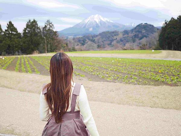鳥取花回廊 (39).jpg
