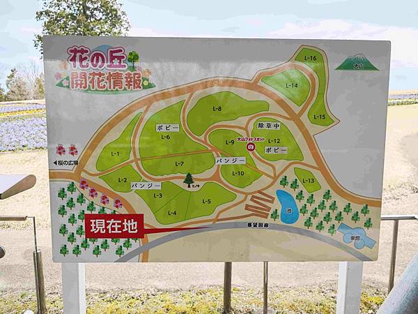 鳥取花回廊 (43).jpg