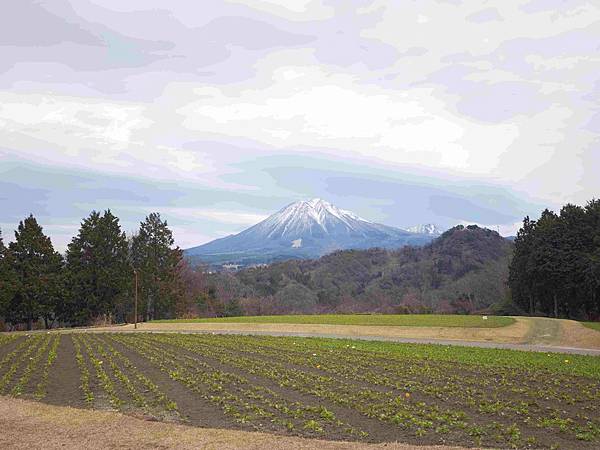 鳥取花回廊 (41).jpg