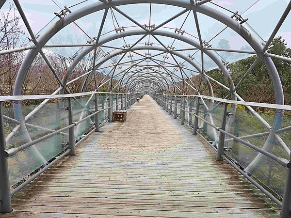 鳥取花回廊 (46).jpg