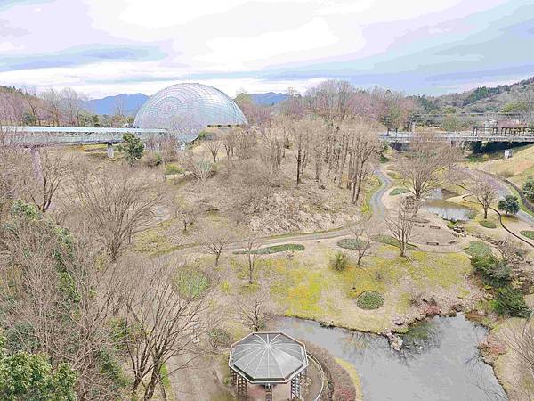 鳥取花回廊 (47).jpg