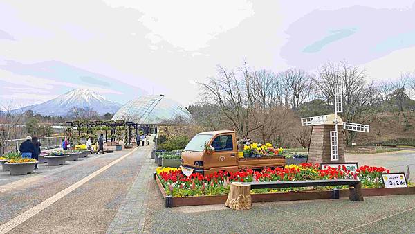 鳥取花回廊 (50).jpg