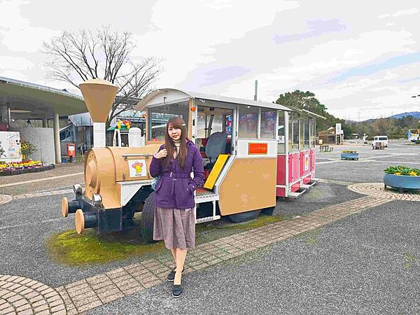 鳥取花回廊 (51).jpg