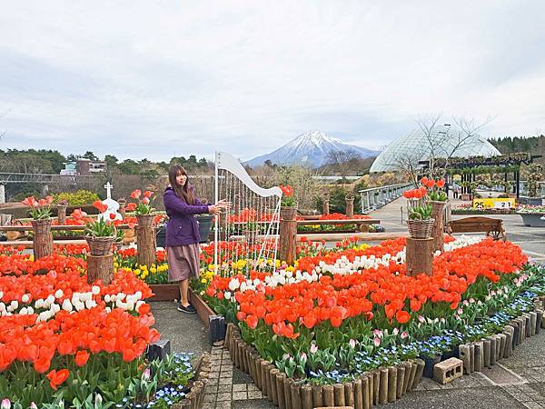 鳥取花回廊 (53).jpg