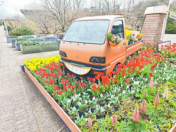 鳥取花回廊 (55).jpg