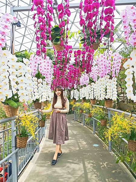 鳥取花回廊 (58).jpg