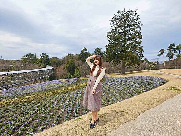 鳥取花回廊 (63).jpg