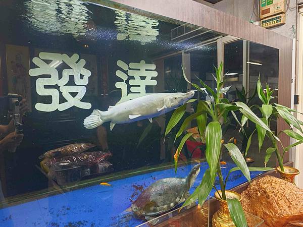 發達汽車 (39).jpg