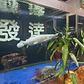 發達汽車 (39).jpg