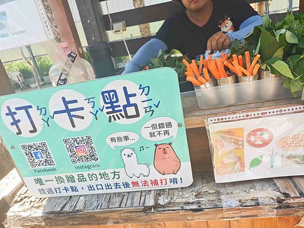 癈物媽媽育兒農場 (13).jpg