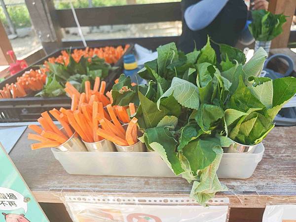 癈物媽媽育兒農場 (14).jpg