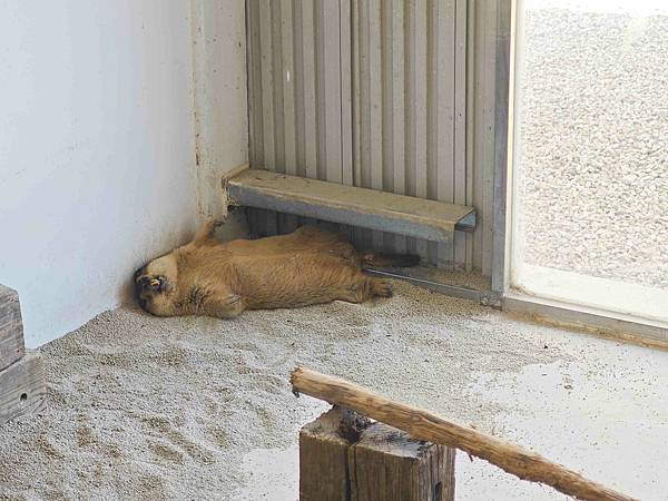 癈物媽媽育兒農場 (19).jpg