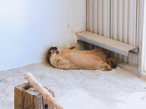 癈物媽媽育兒農場 (50).jpg