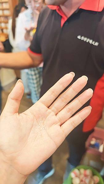 井仔腳瓦盤鹽田 (12).jpg