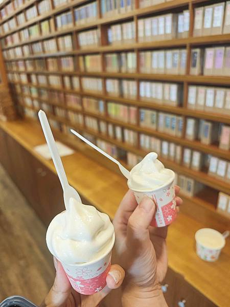 井仔腳瓦盤鹽田 (18).jpg