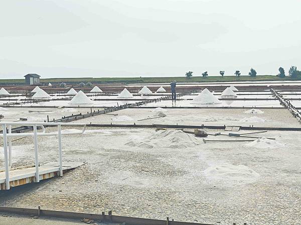 井仔腳瓦盤鹽田 (29).jpg
