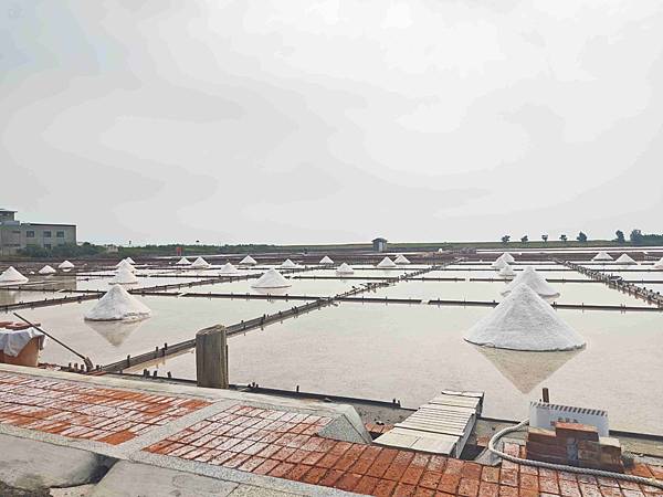 井仔腳瓦盤鹽田 (32).jpg