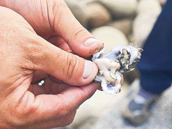 井仔腳瓦盤鹽田 (35).jpg