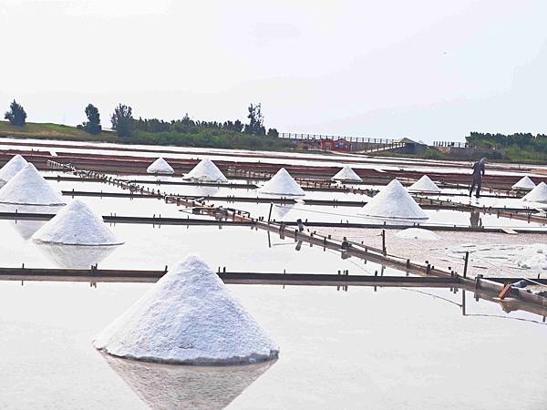 井仔腳瓦盤鹽田 (41).jpg