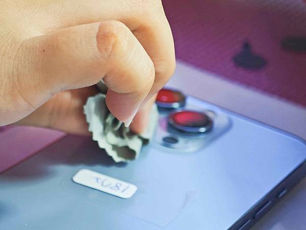 嚴選名膜包膜 (53).jpg