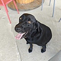 動物空間 (10).jpg