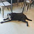 動物空間 (21).jpg