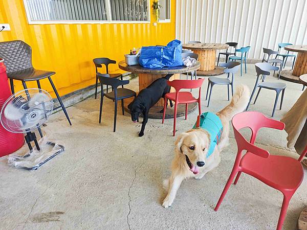 動物空間 (55).jpg