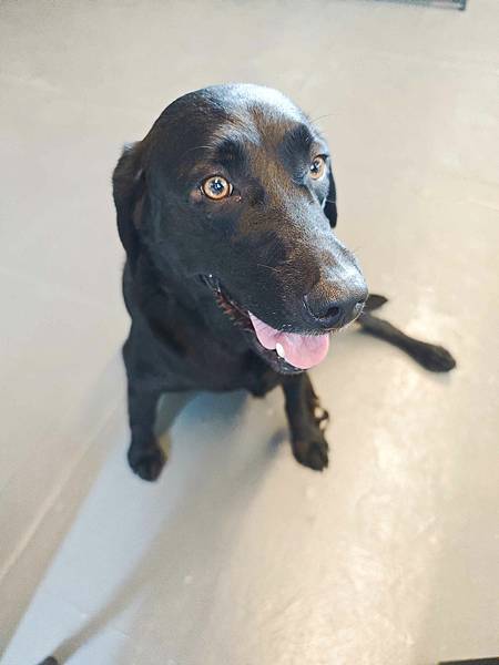 動物空間 (61).jpg