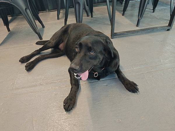 動物空間 (64).jpg